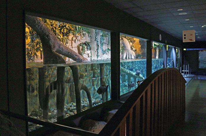 Aquarium Roquetas