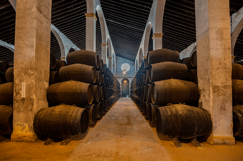 Ruta del vino en Cádiz