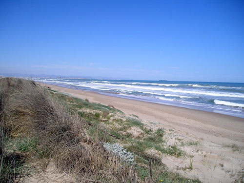 natural environment of Devesa beach