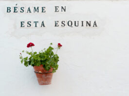 Calle en Rota con una pared blanca donde se lee Bésame en esta esquina y una maceta colgada con claveles rojos.