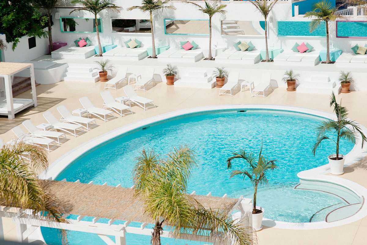 Zona de la piscina con hamacas y tumbonas y palmeras del nuevo hotel en Ibiza de Senator Hotels & Resorts