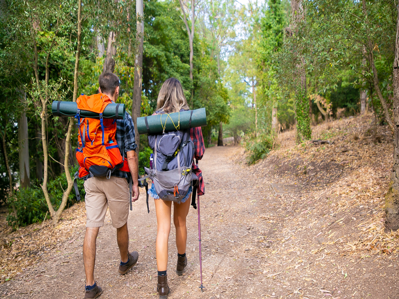 Back view of couple going along road in forest. Long-haired woman and man carrying backpacks and hiking on nature together. Green trees on background. Tourism, adventure and summer vacation concept